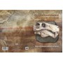 2020 тип2 Палеонтологическое наследие России, 2-я форма выпуска.Сувенирный набор в художественной обложке.