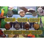 Подарочный набор Животные и Растения - 7 монет в альбоме