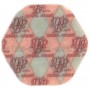 10 рублей 2014 Екатерина II - пластиковая монета Приднестровье