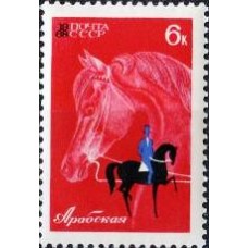 1968 Коневодство и конный спорт в СССР. Арабская лошадь