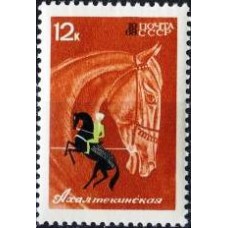 1968 Коневодство и конный спорт в СССР. Ахалтекинская лошадь