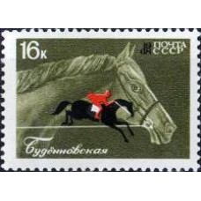 1968 Коневодство и конный спорт в СССР. Буденновская лошадь