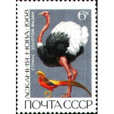 1968 Государственный заповедник Аскания-Нова. Золотой фазан. Страус