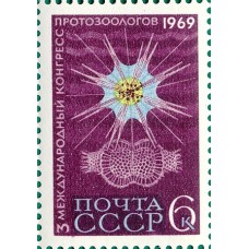 1969 III Международный конгресс протозоологов в Ленинграде. Радиолярия и ее клетка