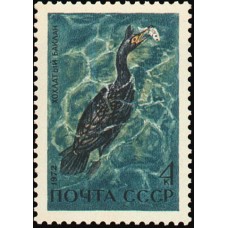 1972 Фауна. Водоплавающие птицы - обитатели побережий морей и океанов. Хохлатый баклан