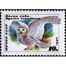 1990 Совы. Белая сова