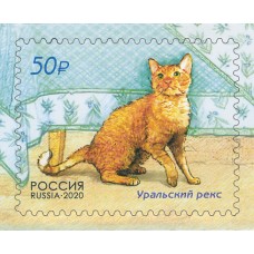 2020 Фауна России. Кошки.Уральский рекс .№ 2613