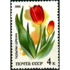 1986 Степные растения, занесенные в Красную Книгу СССР.Тюльпан Шренка