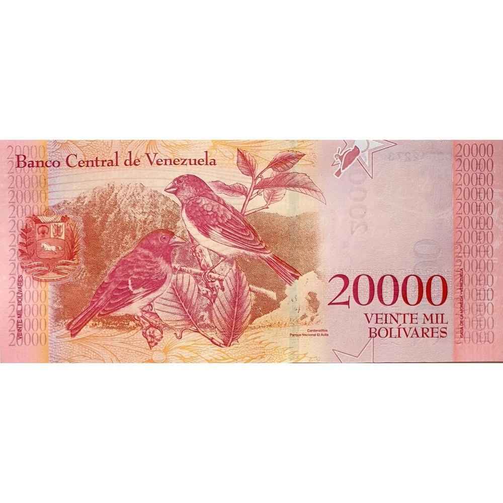 Она стоит 20000. Деньги игрушечные 100. 20000 белорусских рублей 2000 года. Она стоит 20000. Она стоит 20000.