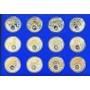 Набор из 12 монет 20 рублей 2013 Знаки Зодиака в подарочной коробке - Беларусь - Серебро и золото.